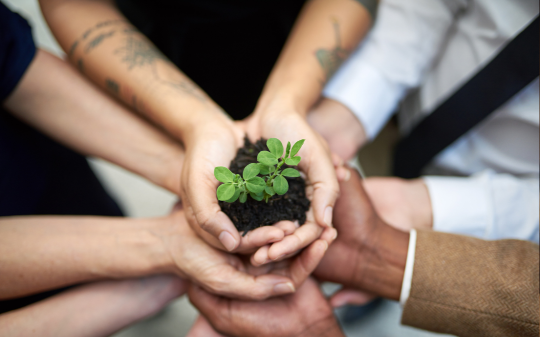 Affiliate Growth Hacks: Strategies to Boost Your Income